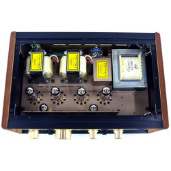 Leben CS-300X(S) integrated amplifier