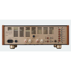 Leben CS-600X integrated amplifier