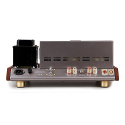 Leben CS-1000P power amplifier
