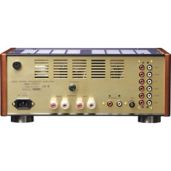 Leben CS-300F integrated amplifier