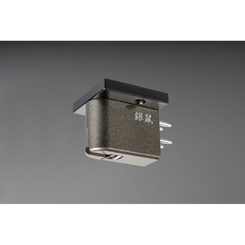 Etsuro Silver Gray (Gin-nezu)