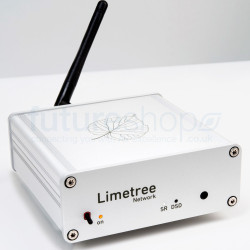 Lindemann Limetree Network-II