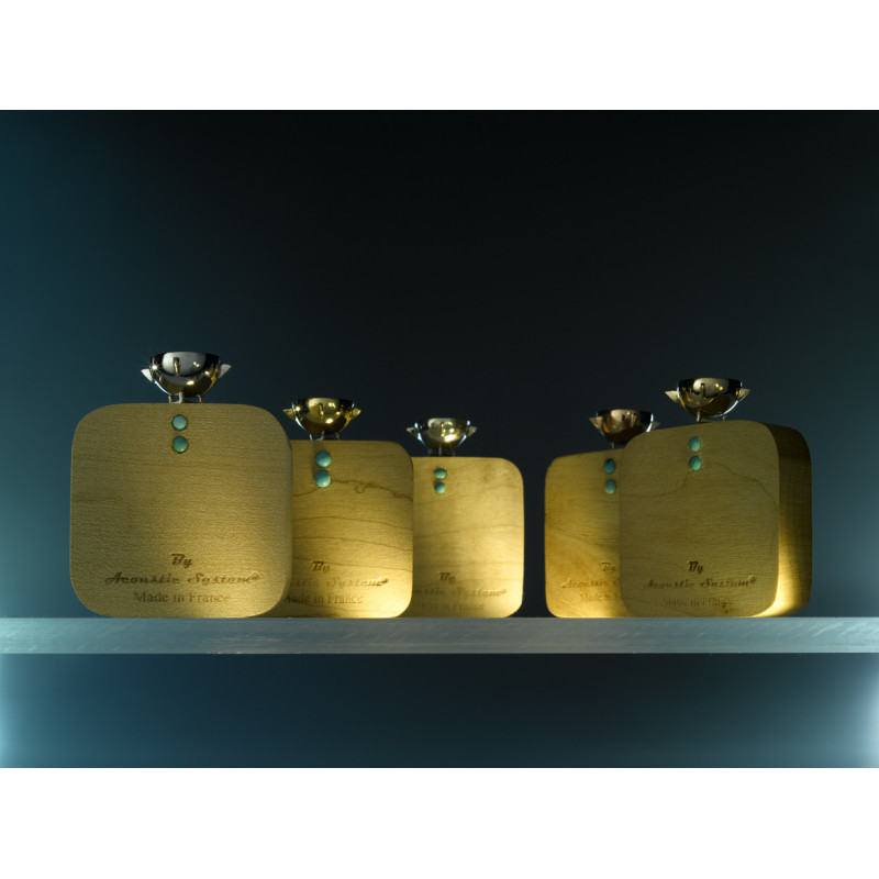 Acoustic System Resonators