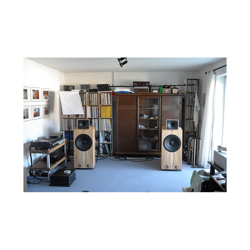 Blumenhofer Acoustics Genuin FS 1 MK 3