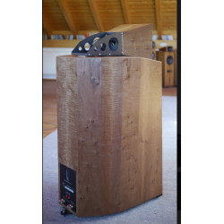 Blumenhofer Acoustics Genuin FS 1 MK 4
