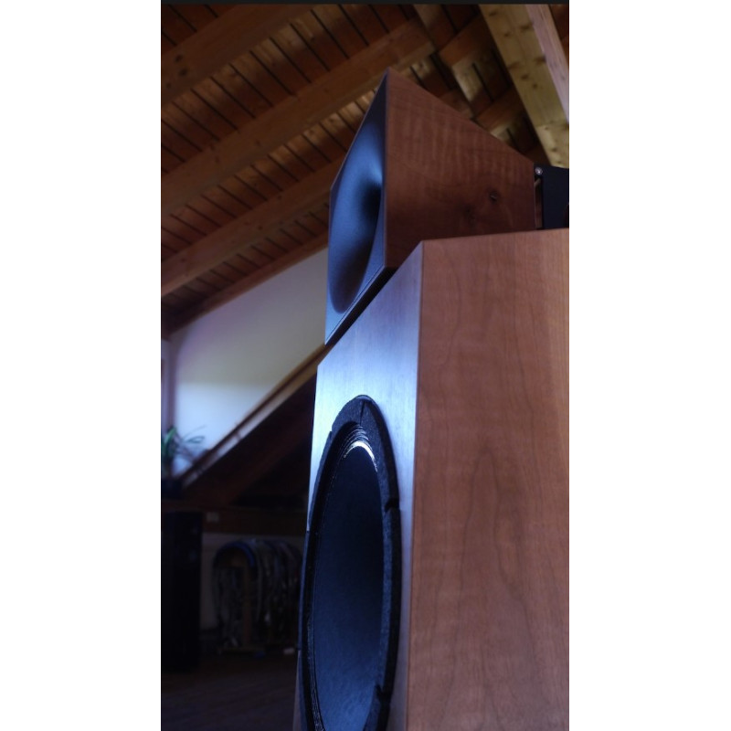 Blumenhofer Acoustics Genuin FS 1 MK 3