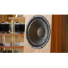 Blumenhofer Acoustics Genuin FS 2 MK 2