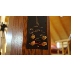 Blumenhofer Acoustics Genuin FS 2 MK 2