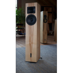 Blumenhofer Acoustics Tempesta 20 MK2 Speakers